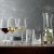 Lifestyle Champagneglas 4-pack