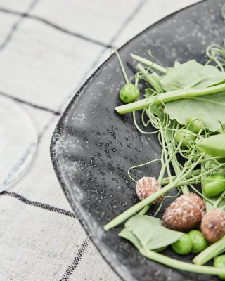 hdkala house doctor fisk serveringsfat svart