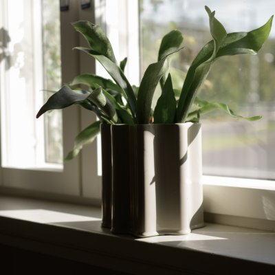 Filter small - shiny mole