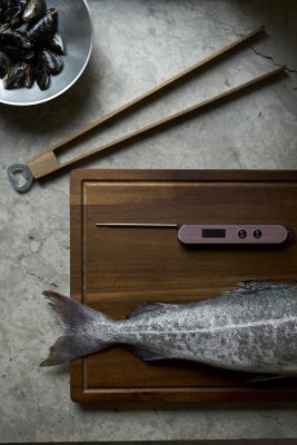 orrefors jernverk termometer med tång