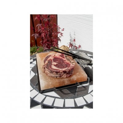 Saltsten från Himalaya med hållare